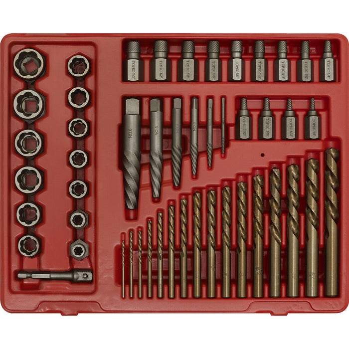 49 Piece Master Extractor Set - Screw Bolt & Nut Extraction - Storage Case Loops