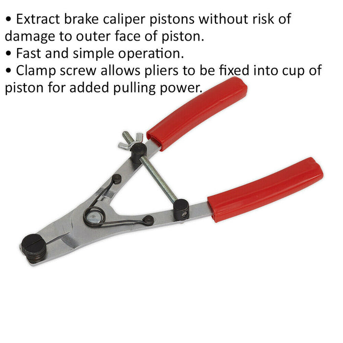 Motorcycle Brake Piston Removal Pliers - Piston Extraction - Clamp Screw Loops