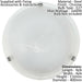 2 PACK Wall Flush Ceiling Light Colour Chrome Shade Glass Alabaster E27 2x60W Loops