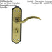 PAIR Spiral Sculpted Lever on Bathroom Backplate 180 x 48mm Florentine Bronze Loops