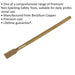 Long Handle Decorators Scraper - 50 x 690mm - Non-Sparking - Beryllium Copper Loops