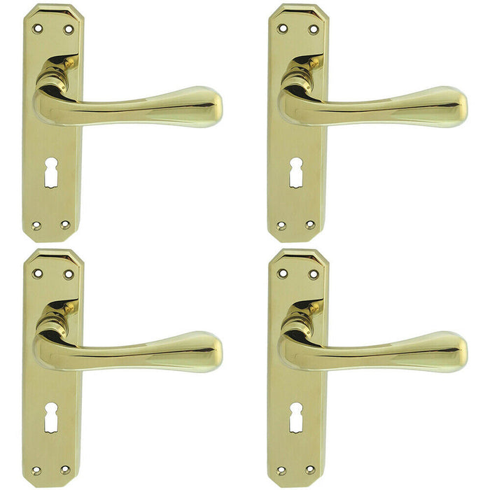 4x PAIR Heavy Duty Handle on Angular Lock Backplate 180 x 40mm Stainless Brass Loops