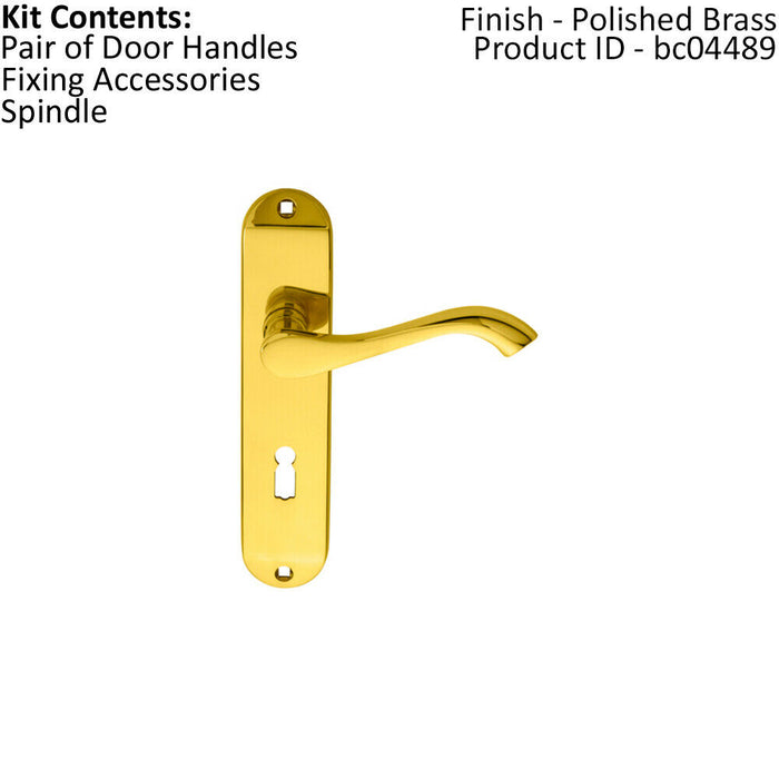 PAIR Curved Handle on Chamfered Lock Backplate 180 x 40mm Polished Brass Loops