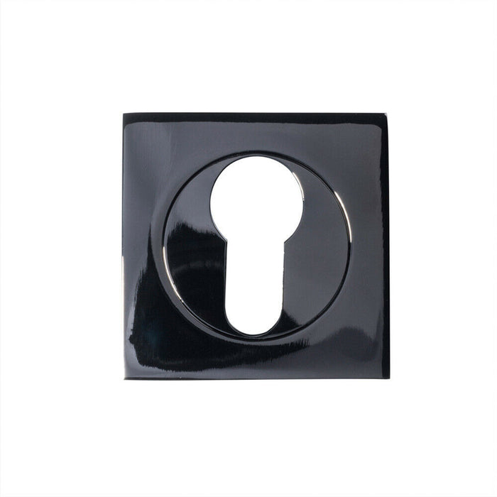 Square Euro Profile Escutcheon 52 x 52mm Concealed Fix Black Nickel Loops