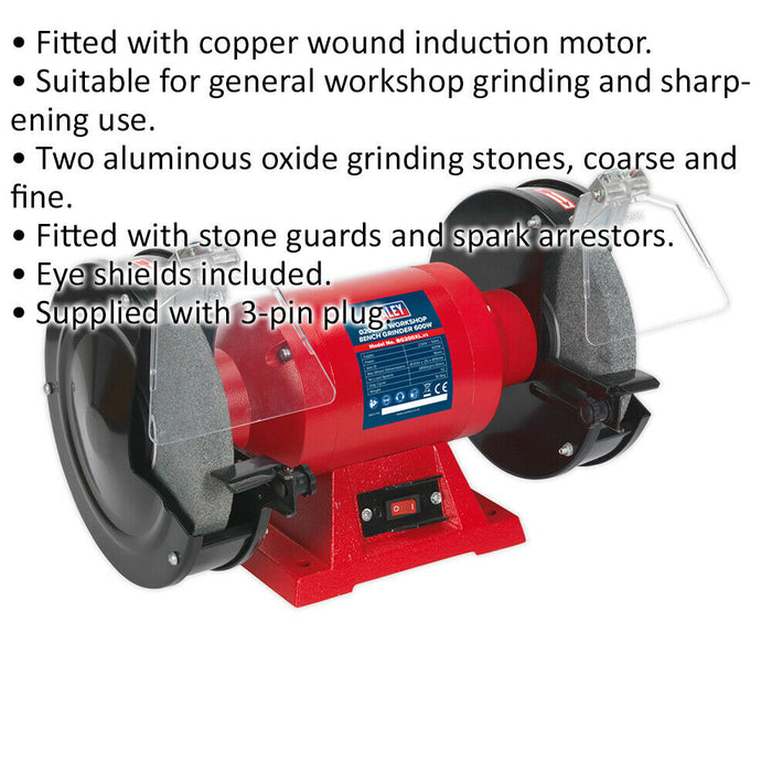 200mm Workshop Bench Grinder - 600W Copper Wound Induction Motor - Two Stones Loops