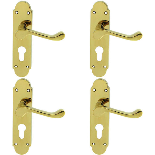 4x PAIR Victorian Upturned Lever on Euro Lock Backplate 170 x 42 Polished Brass Loops