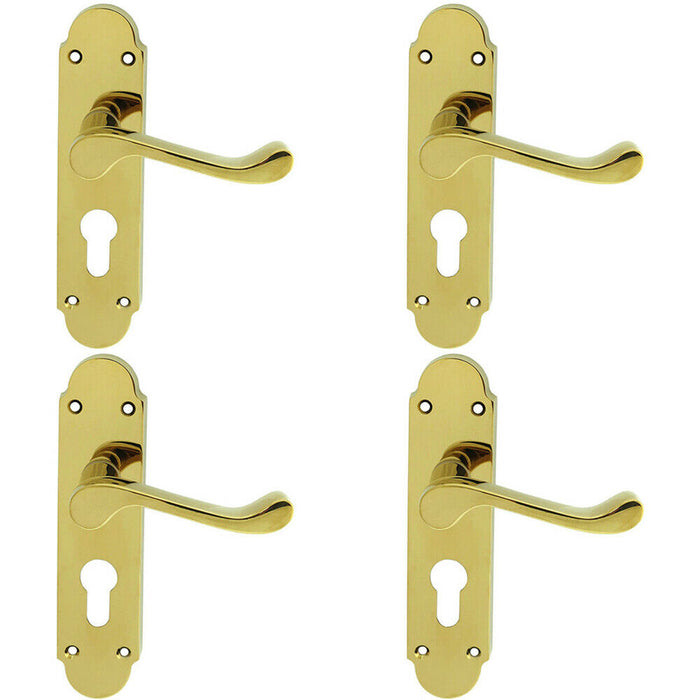 4x PAIR Victorian Upturned Lever on Euro Lock Backplate 170 x 42 Polished Brass Loops