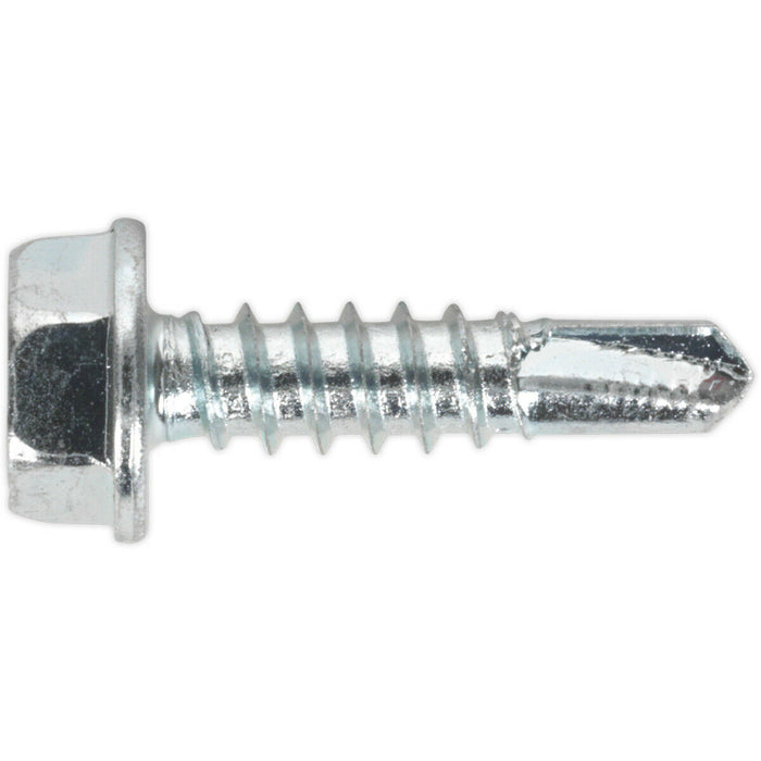 100 PACK 4.8 x 19mm Self Drilling Hex Head Screw - Zinc Plated Fixings Screw Loops