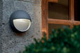 Outdoor IP54 Wall Light Sconce Graphite Finish LED 6W Bulb External d01052 Loops