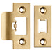 Forend Strike & Fixing Pack Suitable for Tubular Latch Satin Brass Loops