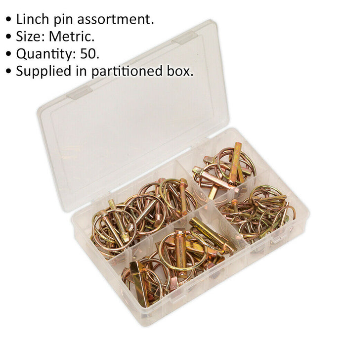 50 Piece Linch Pin Assortment - Metric Sizing - Partitioned Box - Various Sizes Loops