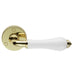 PAIR Porcelain Handle with Ringed Detailing 58mm Round Rose Polished Brass Loops