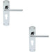 2x Rounded Straight Bar Lever on Euro Lock Backplate 170 x 42mm Polished Chrome Loops