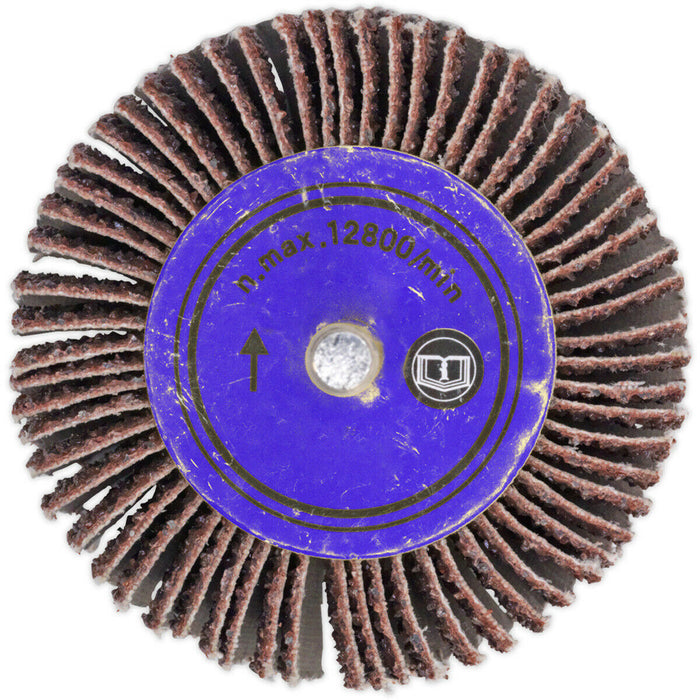 25 x 20mm Aluminium Oxide Flap Wheel - 6mm Shaft - 80 Grit - Abrasive Sanding Loops