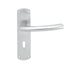2x Curved Bar Handle on Lock Backplate Oval Profile 170 x 42mm Satin Chrome Loops