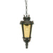 IP23 1 Bulb Chain Lantern Light Weathered Bronze Medium LED E27 100W Loops