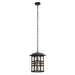 Outdoor IP44 1 Bulb Chain Lantern Olde Bronze LED E27 40W Loops