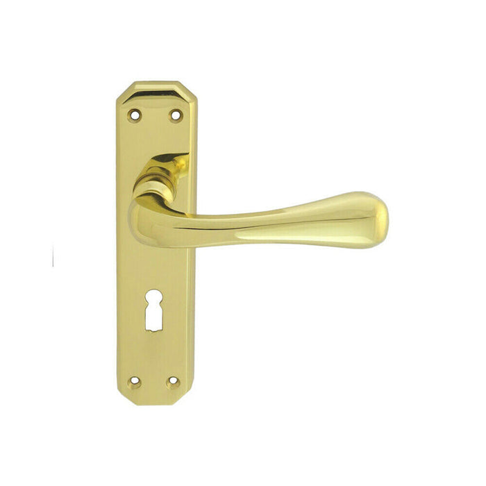 PAIR Heavy Duty Handle on Angular Lock Backplate 180 x 40mm Polished Brass Loops