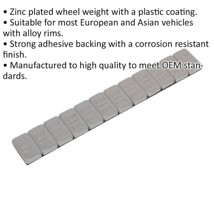 100 PACK 5g Adhesive Wheel Weights - Strip of 12 - Plastic Coated Steel Loops