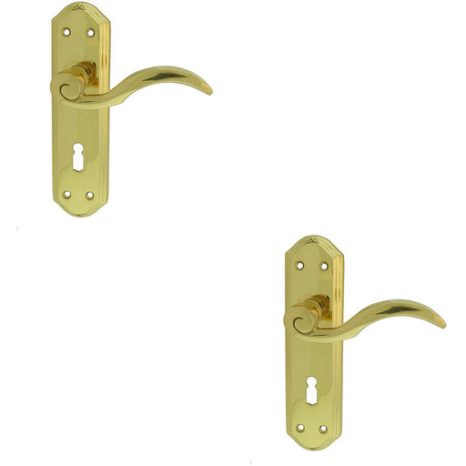 2x PAIR Spiral Sculpted Handle on Lock Backplate 180 x 48mm Polished Brass Loops