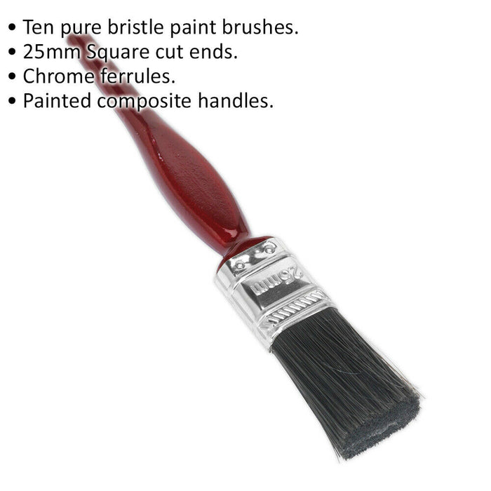 10 PACK 25mm Pure Bristle Paint Brush - Square Cut Ends - Painting Decorating Loops