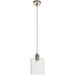Hanging Ceiling Pendant Light Brushed Nickel & Modern Glass Shade Sleek Lamp Loops
