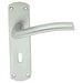 2x PAIR Rounded Curved Bar Handle on Lock Backplate 170 x 42mm Satin Chrome Loops