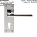 PAIR Straight Bar Lever on Slim Euro Lock Backplate 150 x 50mm Polished Nickel Loops