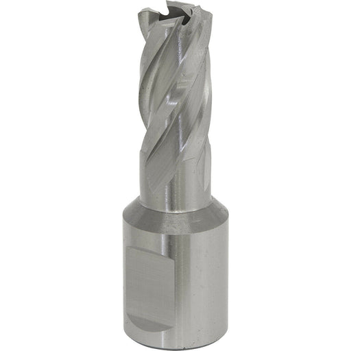 16mm x 25mm Depth Rotabor Cutter - M2 Steel Annular Metal Core Drill 19mm Shank Loops