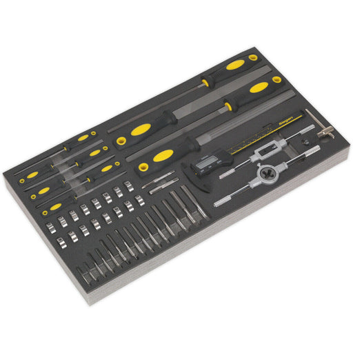 48pc Tap & Die Set with 510 x 270mm Tool Tray - Files & Digital Calipers Tool Loops