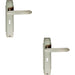 2x PAIR Line Detailed Handle on Lock Backplate 205 x 45mm Satin Nickel Loops