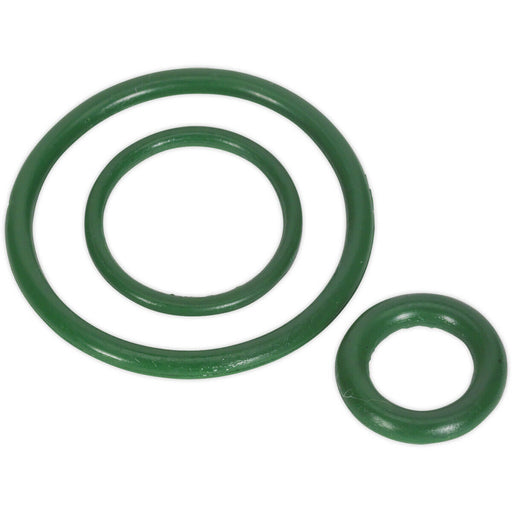 Viton Seal Kit - Suitable For ys08176 & ys08177 Pressure Hand Sprayers Loops