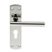 4x Mitred T Bar Lever Door Handle on Euro Lock Backplate 172 x 44mm Steel Loops