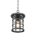 Outdoor IP44 1 Bulb Chain Lantern Earth Black LED E27 60W Loops