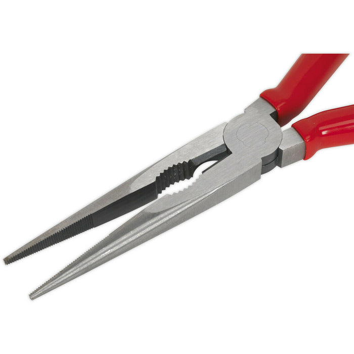 200mm Long Nose Pliers - Drop Forged Steel - 15mm Jaw Capacity - Serrated Jaws Loops