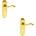 2x PAIR Curved Handle on Chamfered Lock Backplate 180 x 40mm Polished Brass Loops