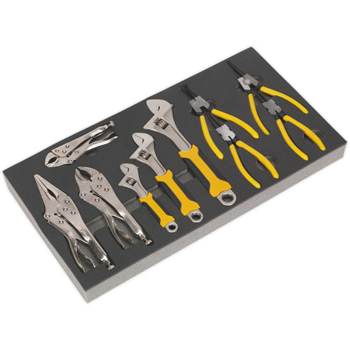 10 Piece Adjustable Wrench & Plier Set with Tool Tray - Tool Box Tray Tidy Chest Loops