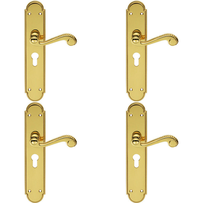 4x PAIR Beaded Pattern Handle on Euro Lock Backplate 249 x 50mm Polished Brass Loops