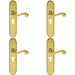 4x PAIR Beaded Pattern Handle on Euro Lock Backplate 249 x 50mm Polished Brass Loops