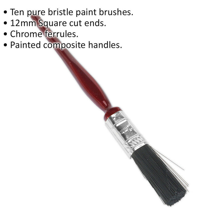 10 PACK 12mm Pure Bristle Paint Brush - Square Cut Ends - Painting Decorating Loops