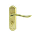 PAIR Curved Lever on Sculpted Bathroom Backplate 180 x 48mm Satin/Polished Brass Loops