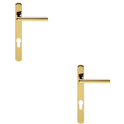 2x PAIR Straight Lever on Narrow Euro Lock Backplate 220 x 26mm Stainless Brass Loops
