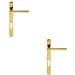 2x PAIR Straight Lever on Narrow Euro Lock Backplate 220 x 26mm Stainless Brass Loops