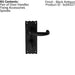 PAIR Forged Curved Lever Handle on Bathroom Backplate 155 x 54mm Black Antique Loops