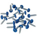 50 PACK 4.8 x 24mm Blue Numberplate Screw - Plastic Enclosed Head Fixings Loops