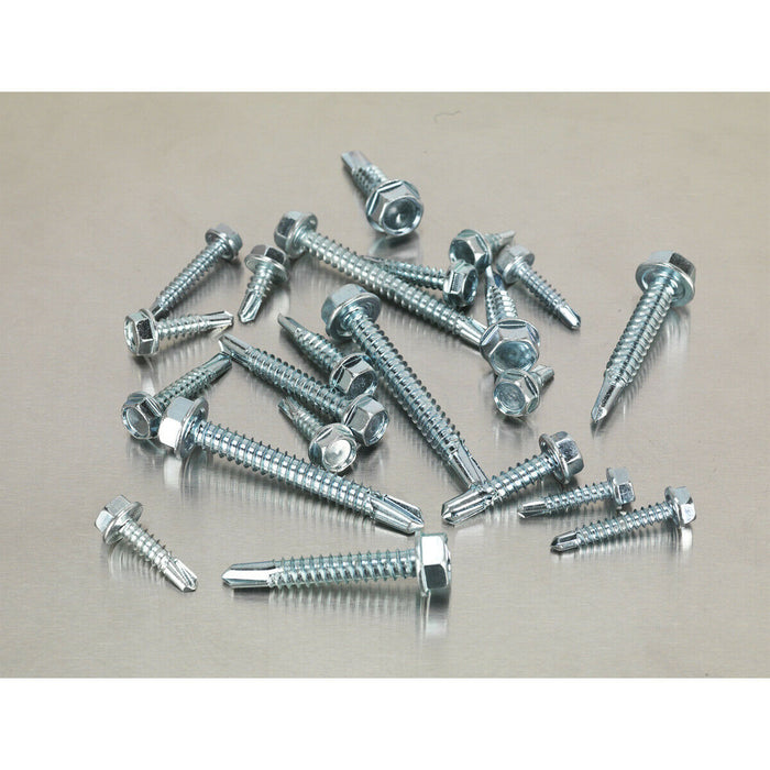 410 PACK Self Drilling Screw Assortment - Zinc Plated Hex Head - Various Sizes Loops