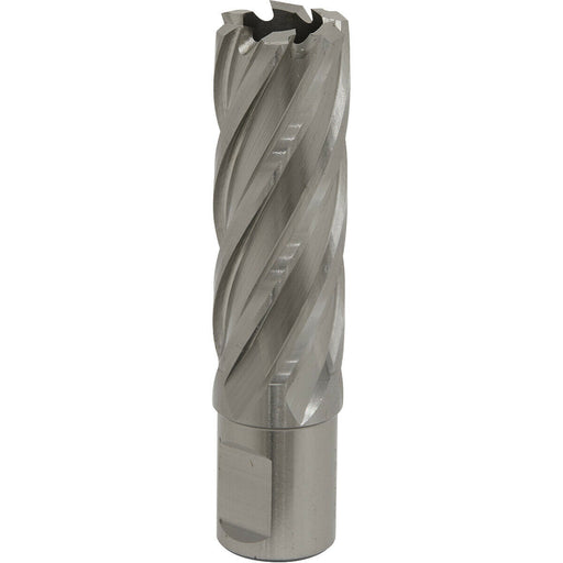 22mm x 50mm Depth Rotabor Cutter - M2 Steel Annular Metal Core Drill 19mm Shank Loops