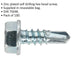 100 PACK 4.2 x 13mm Self Drilling Hex Head Screw - Zinc Plated Fixings Screw Loops