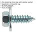 100 PACK M14 x 3/4 Inch Acme Screw with Captive Washer - Zinc Plated Fixings Loops