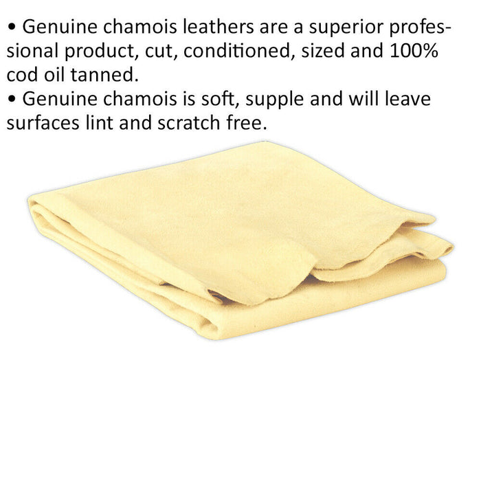 Genuine Chamois Leather - 2.5 Square Foot - Soft & Supple Car Detailing Cloth Loops